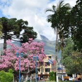  Ecuador